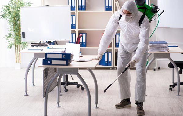 AJP GROUPE 78 - accueil AJP Groupe désinfection, dératisation, désinsectisation – hygiène - 7