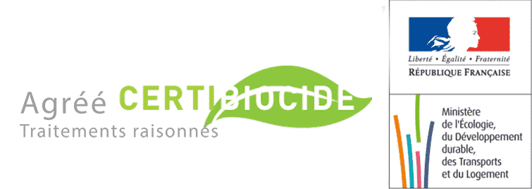 AJP GROUPE 78 - accueil AJP Groupe désinfection, dératisation, désinsectisation – hygiène - 20